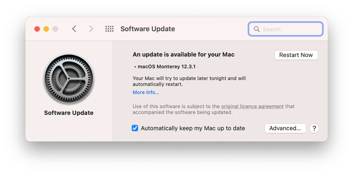 Software update window