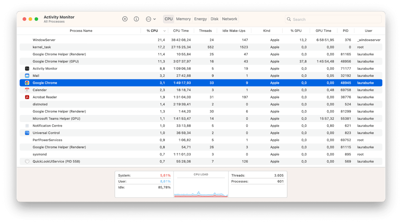 Activity Monitor on Mac