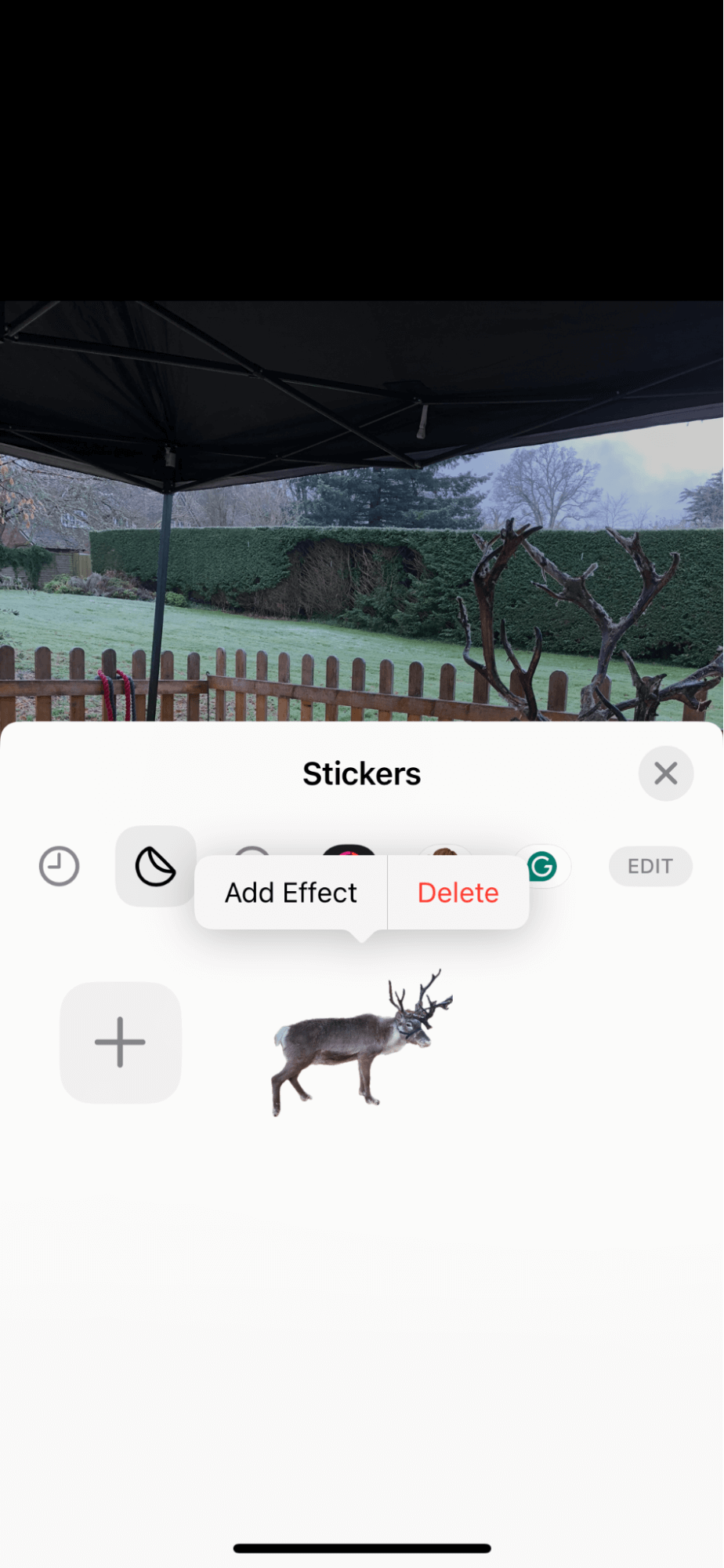 Make a sticker on an iPhone