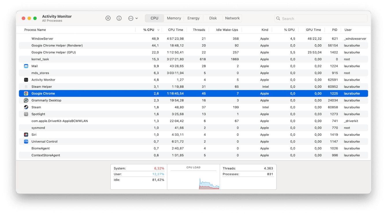 Activity Monitor on Mac