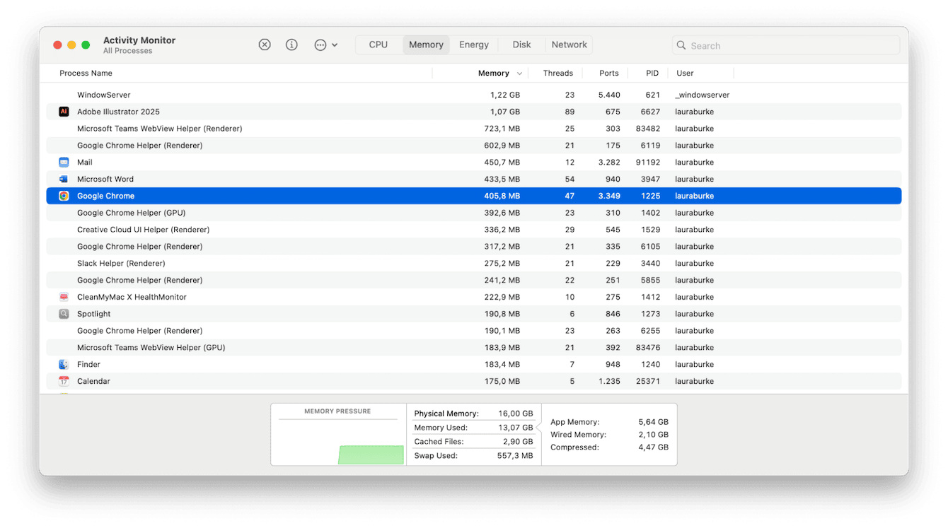 Activity Monitor on Mac