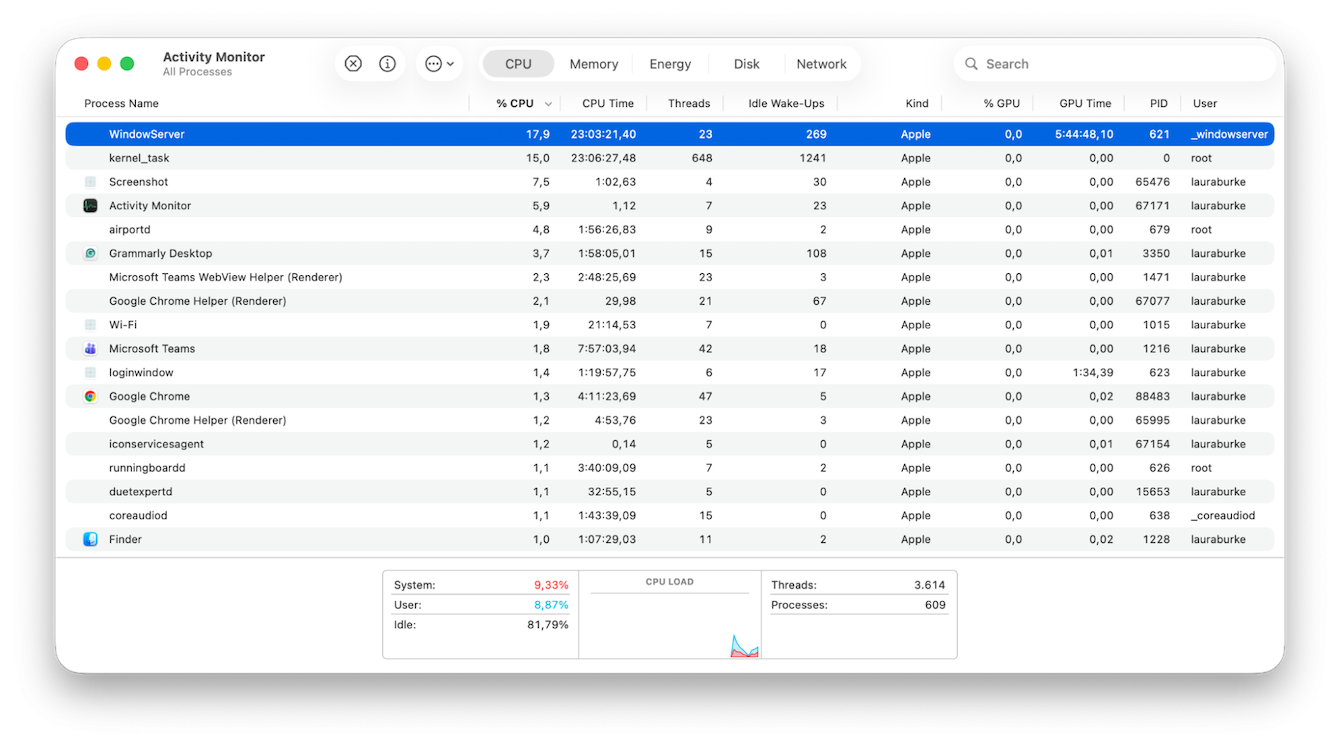 WindowServer on Mac Activity Monitor