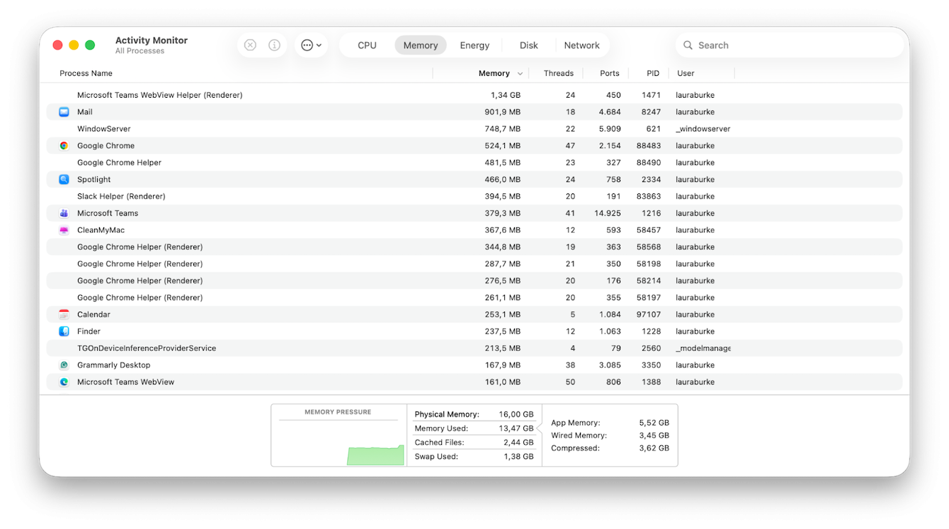 Activity Monitor on Mac
