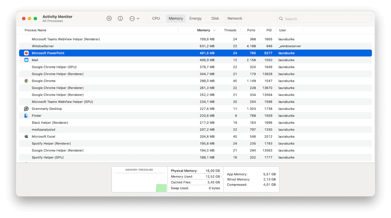 Activity Monitor on Mac