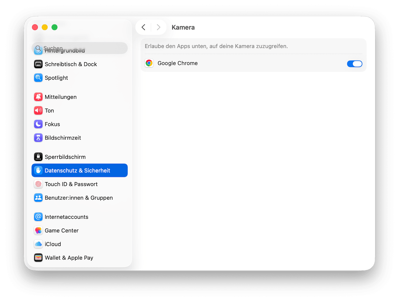 Kamerazugriff beschränken