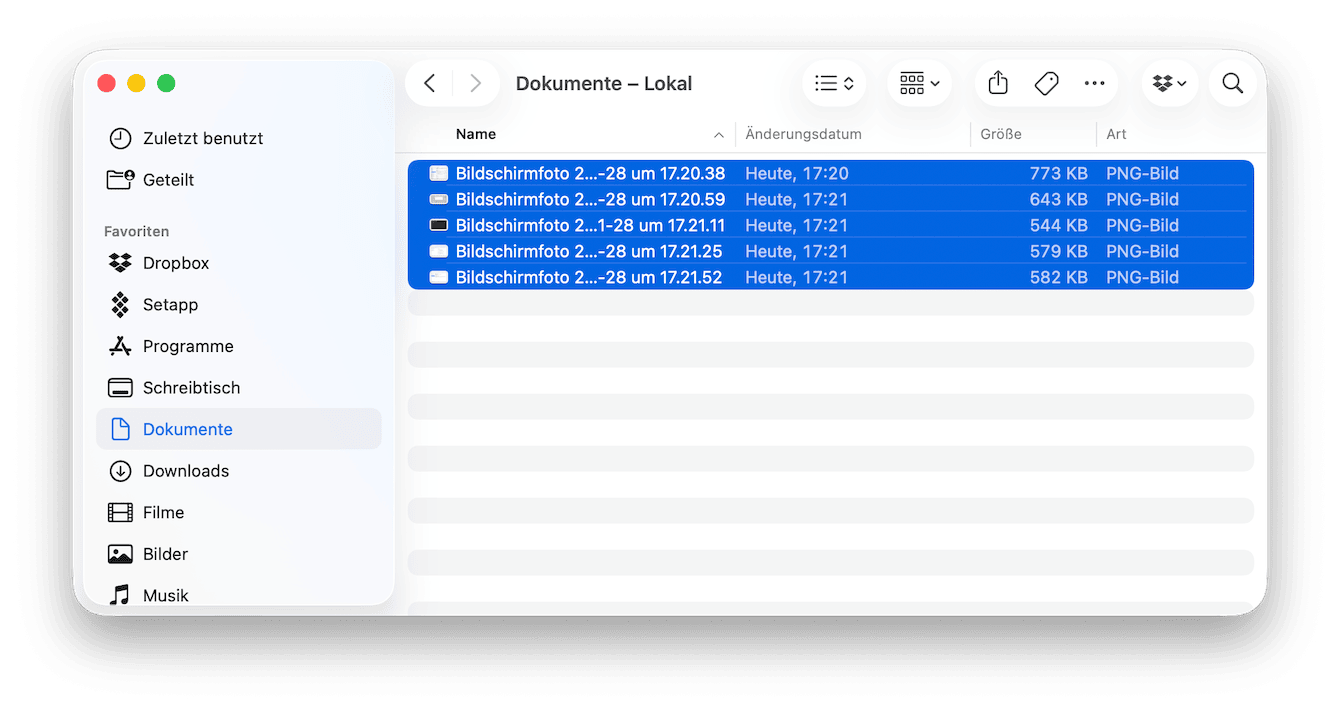 Große oder doppelte Dateien entfernen