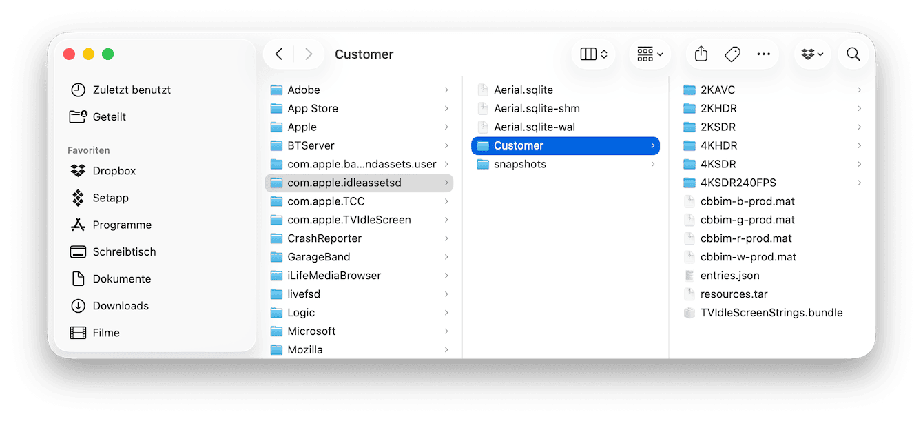 Entfernen Sie Bildschirmschoner