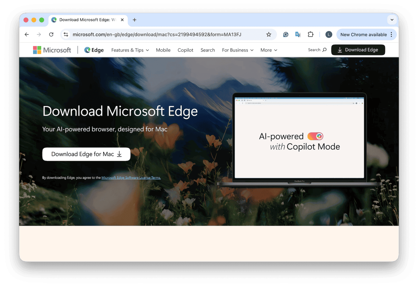 Microsoft Edge browser