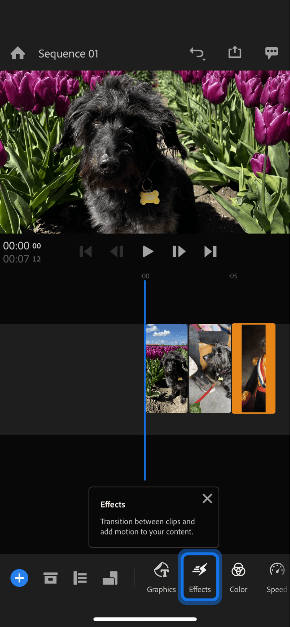 Adobe Premiere Rush app