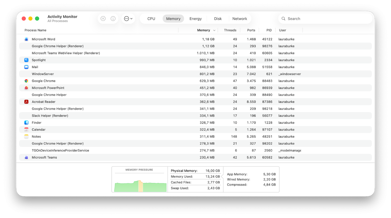 Activity Monitor on Mac