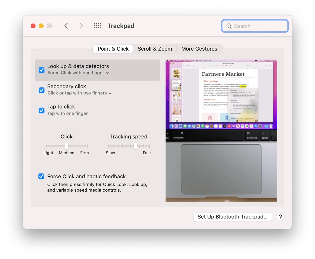 Trackpad settings on Mac