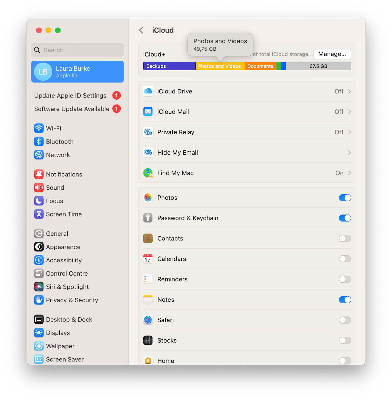 iCloud storage on a Mac