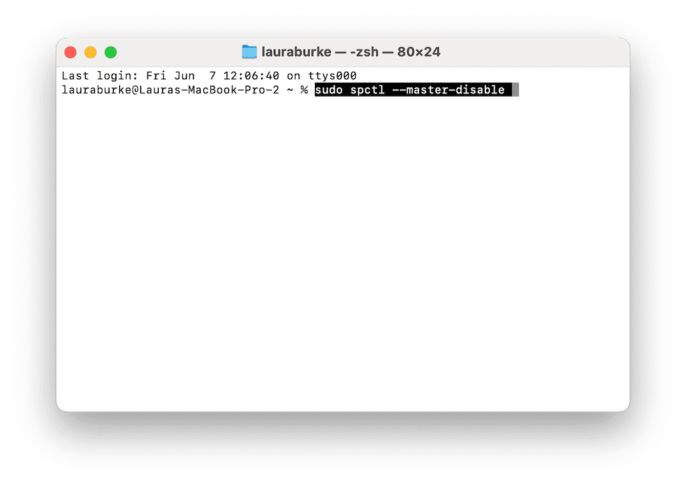 sudo spctl --master-disable command in Terminal