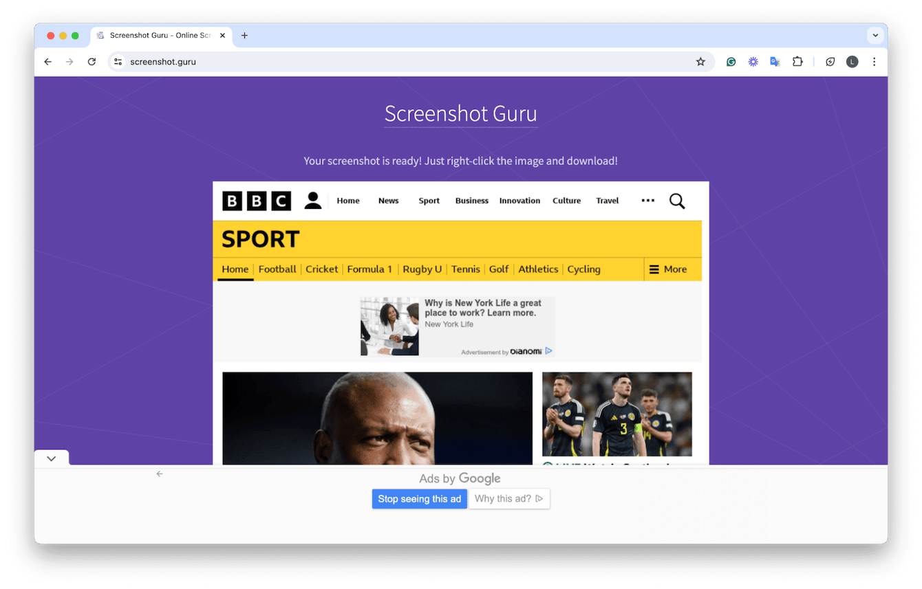 Screenshot Guru tool