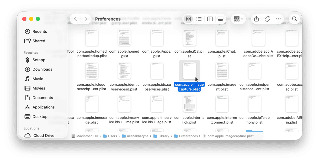 How to reset Screenshot .plist file