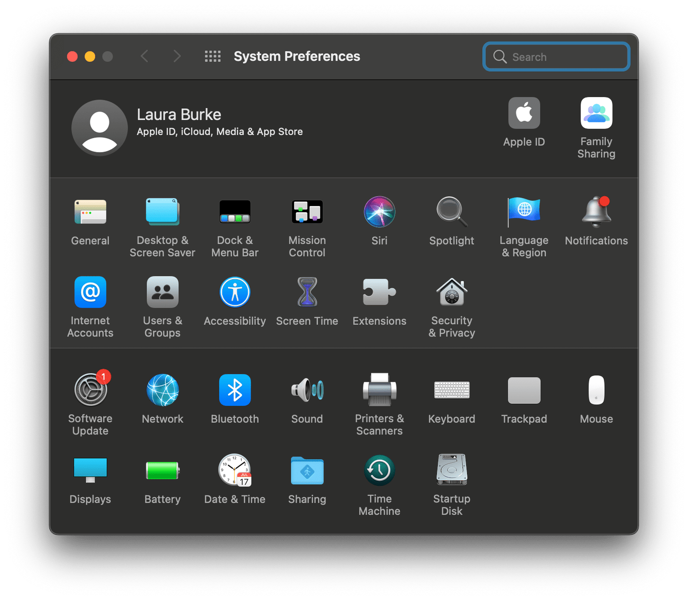 System preferences window