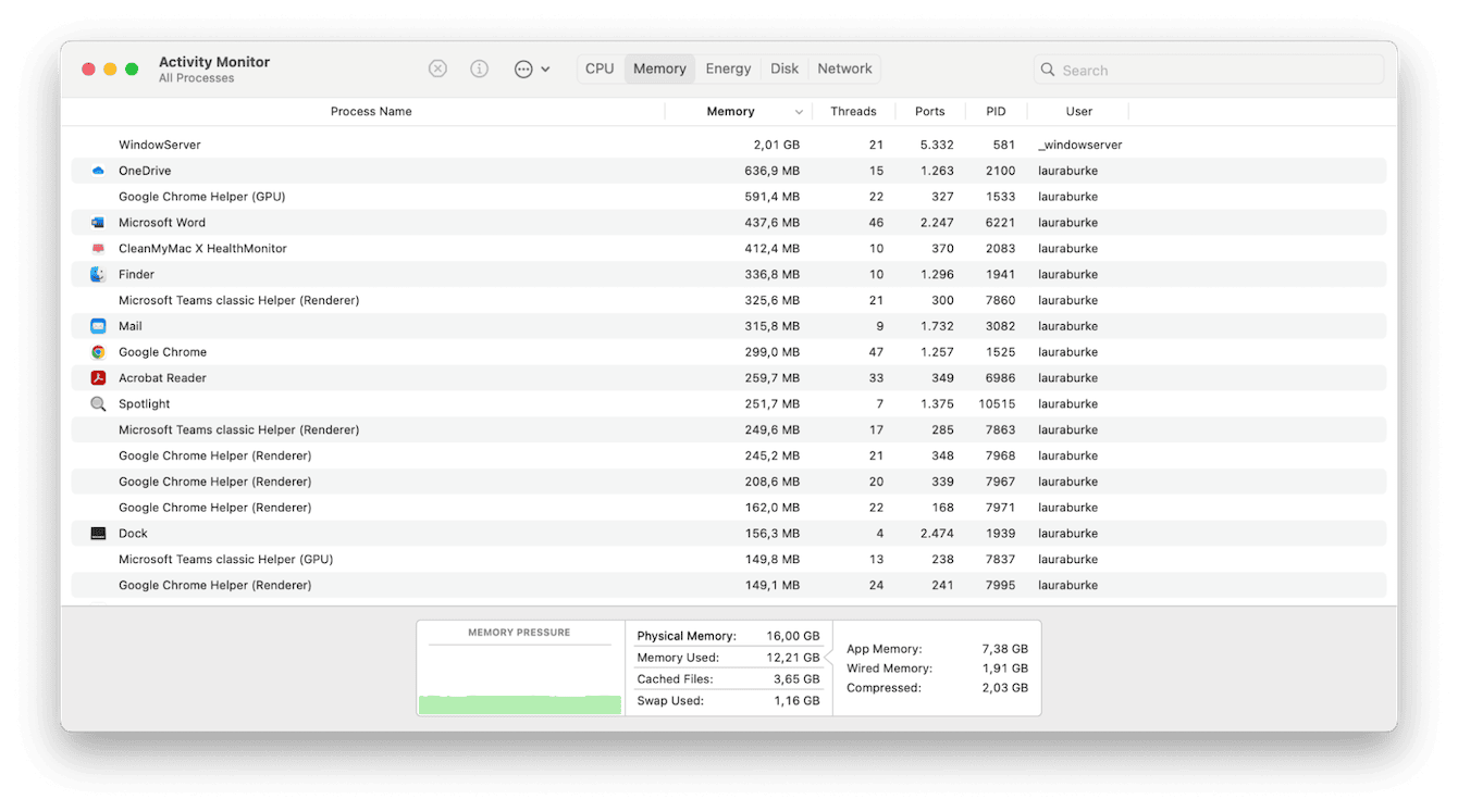 Activity Monitor on Mac