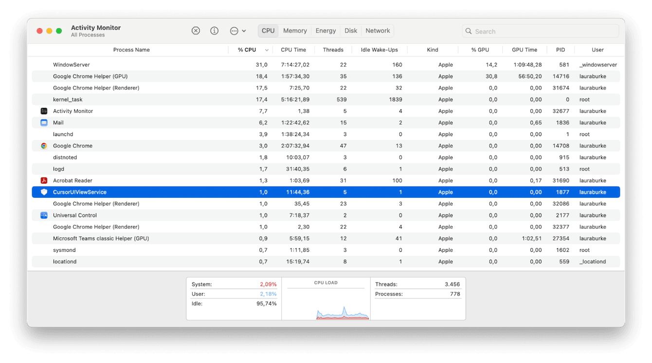 Activity Monitor on Mac