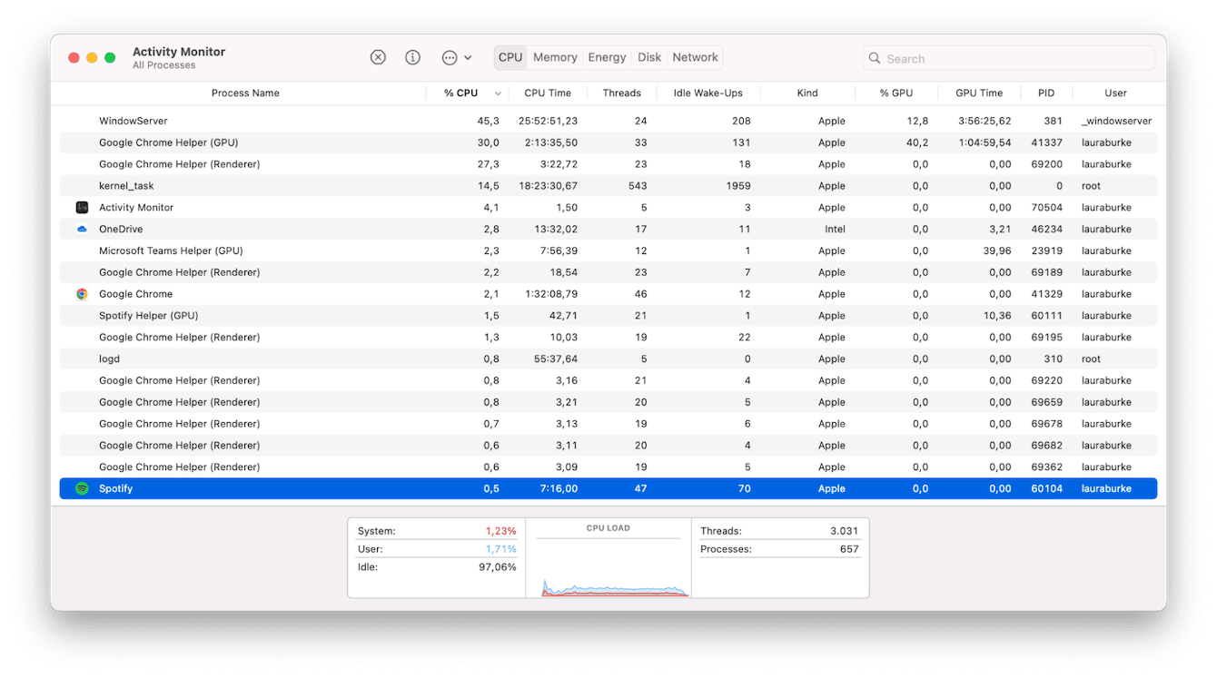 Activity Monitor on Mac