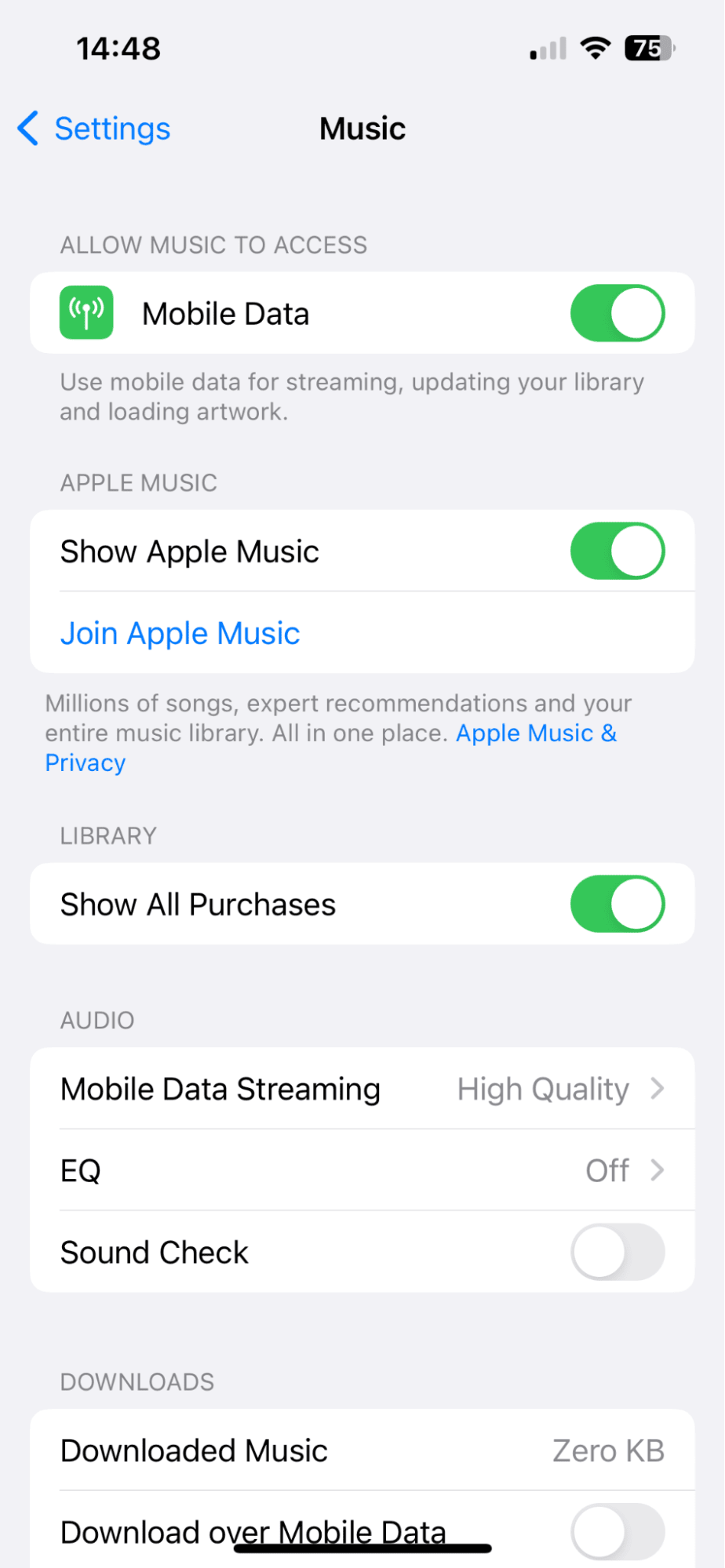 Music Settings on iPhone