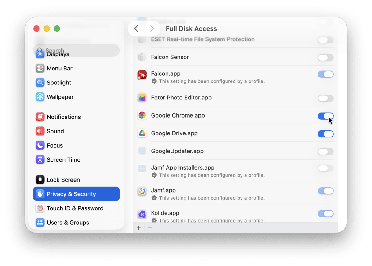 Disk Access preferences