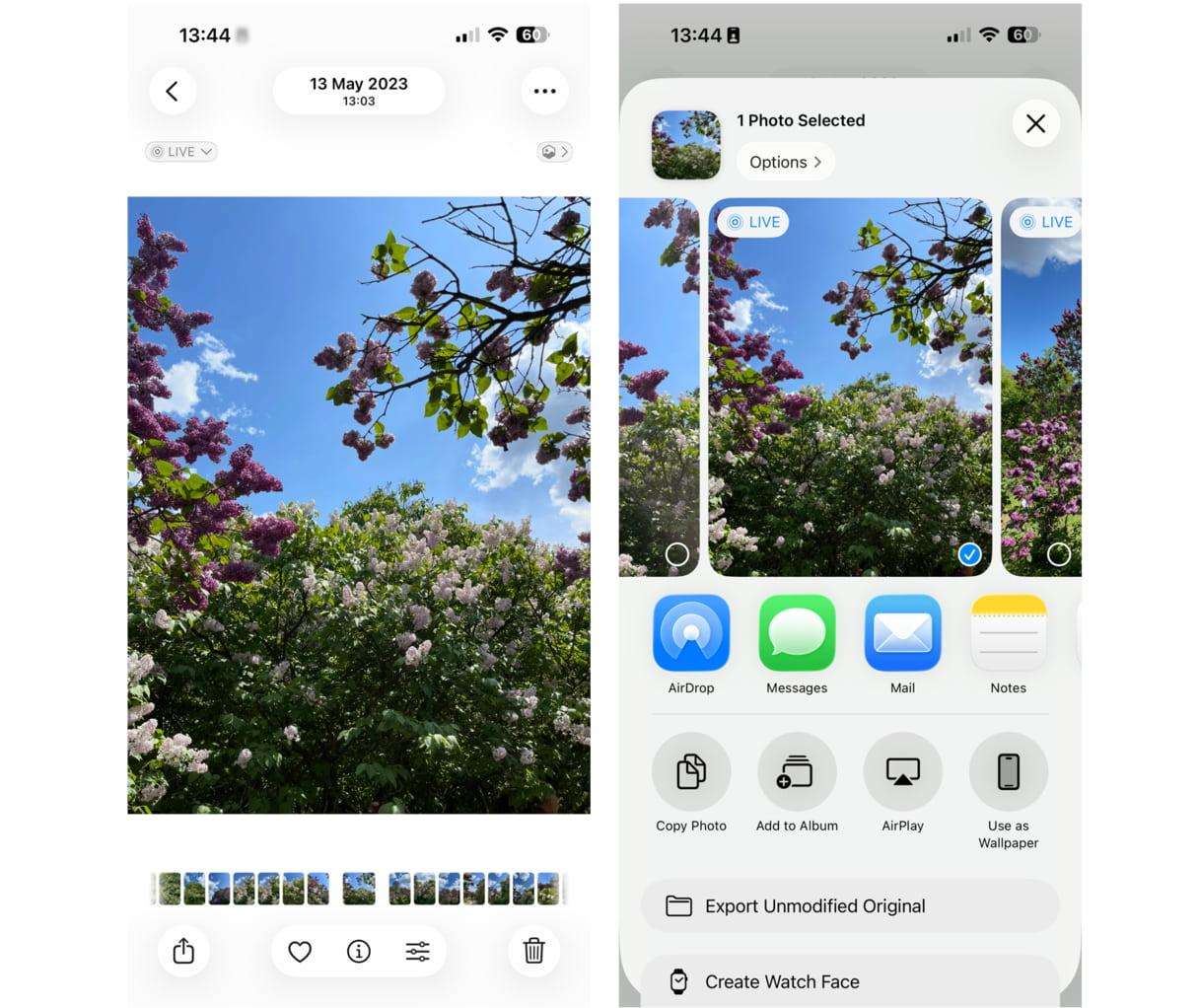 How to use live photo as wallpaper on iPhone