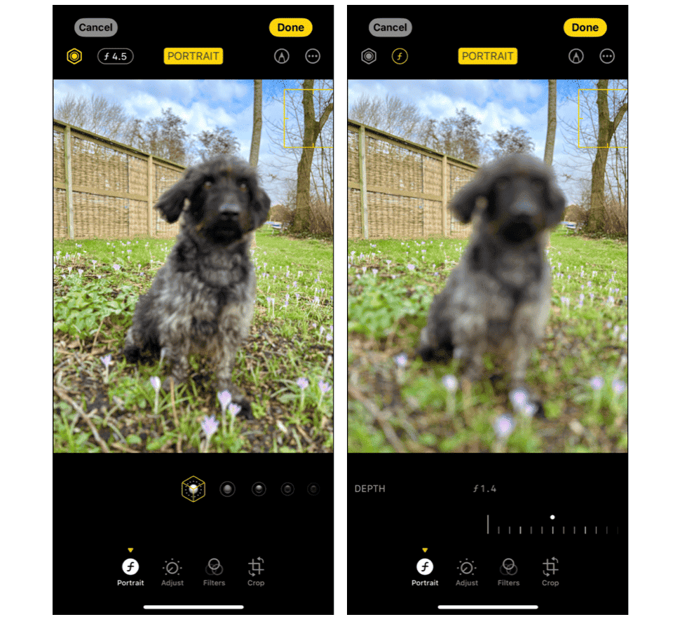 How to blur photos on iPhone
