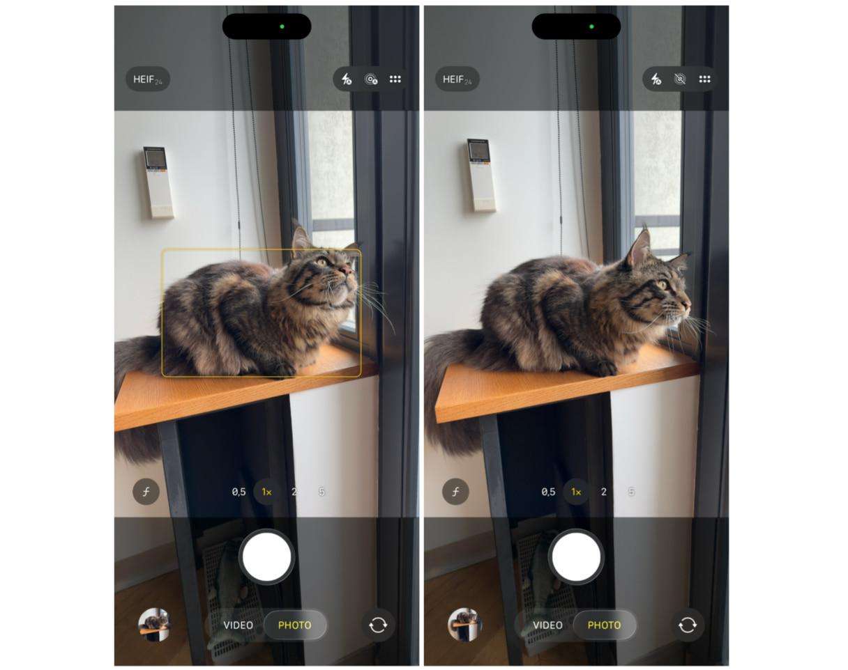 How to turn off live photos on iPhone