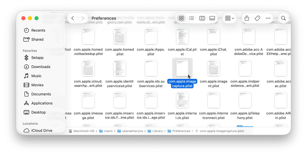 How to reset Screenshot .plist file