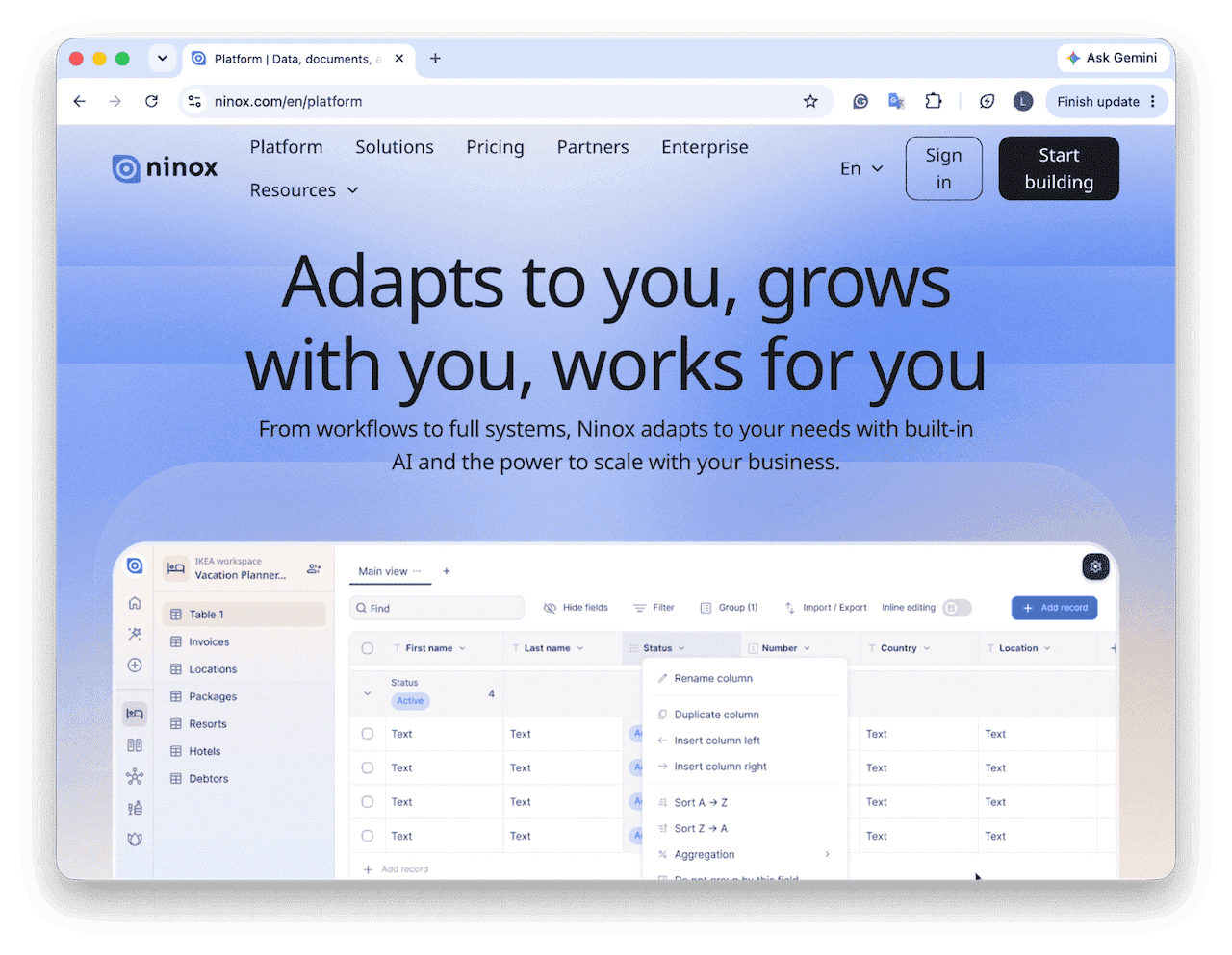 Ninox database client