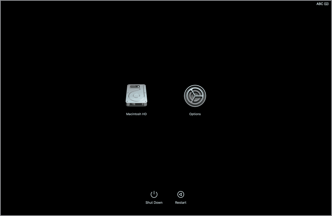 Mac startup options screen