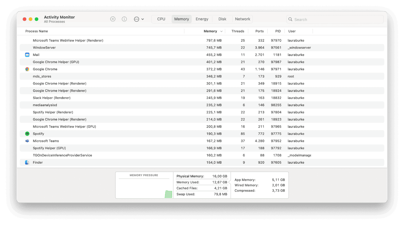 Activity Monitor on Mac