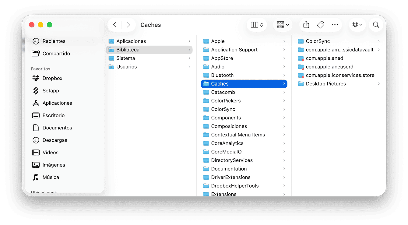 Elimina los archivos de cach&eacute;