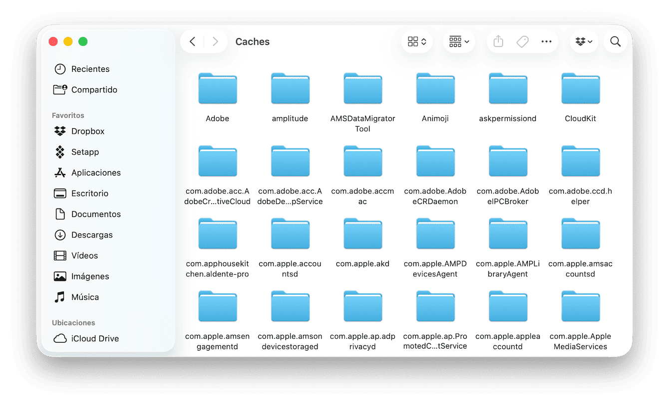 Elimina archivos cach&eacute;
