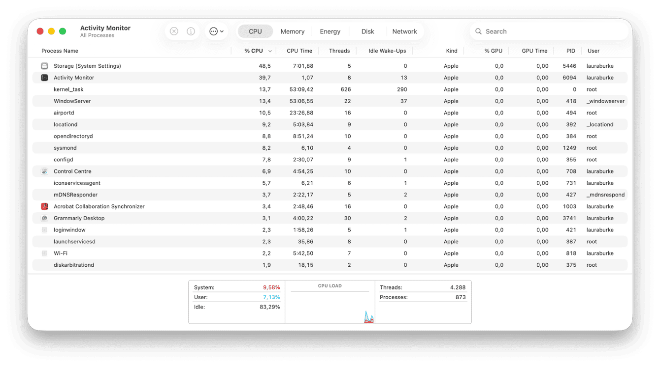 Activity Monitor on Mac
