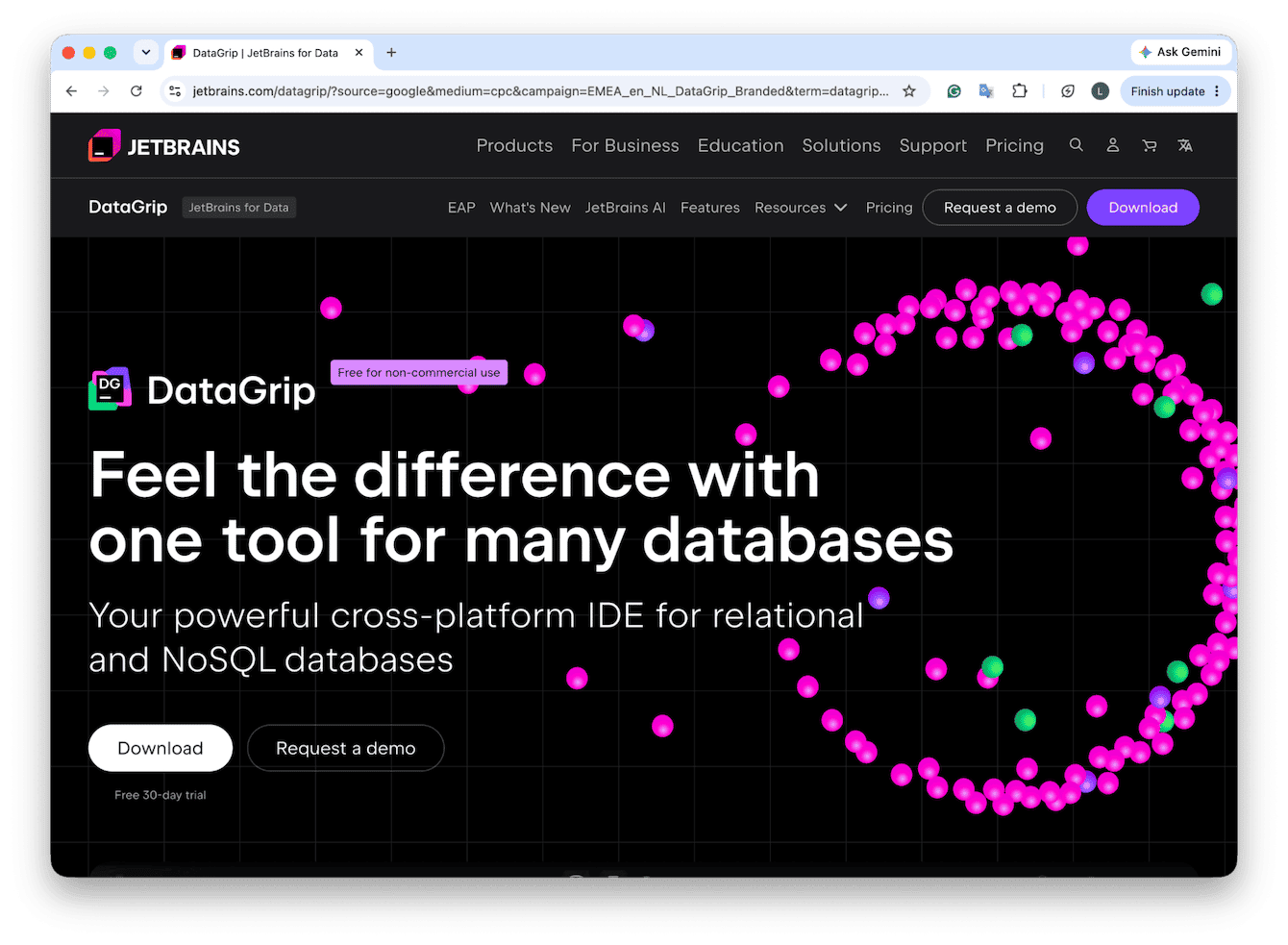 DataGrip database client
