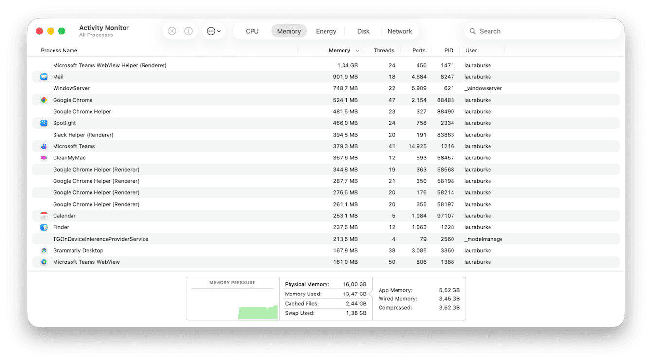 Activity Monitor on Mac