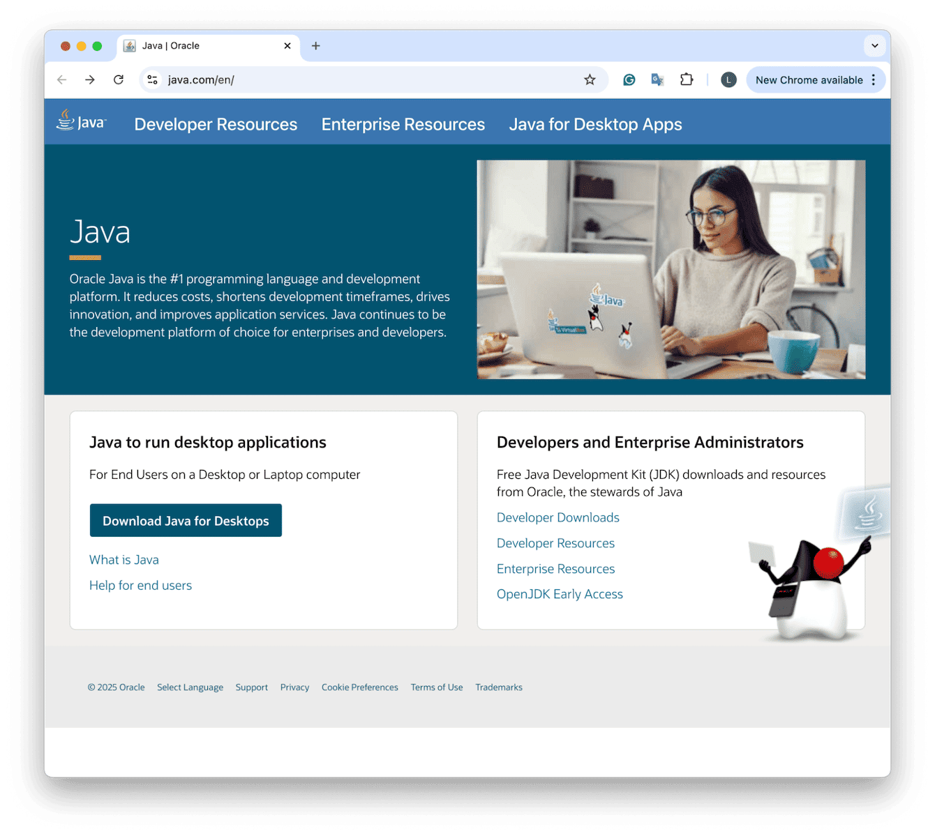 Remove Java using the installer