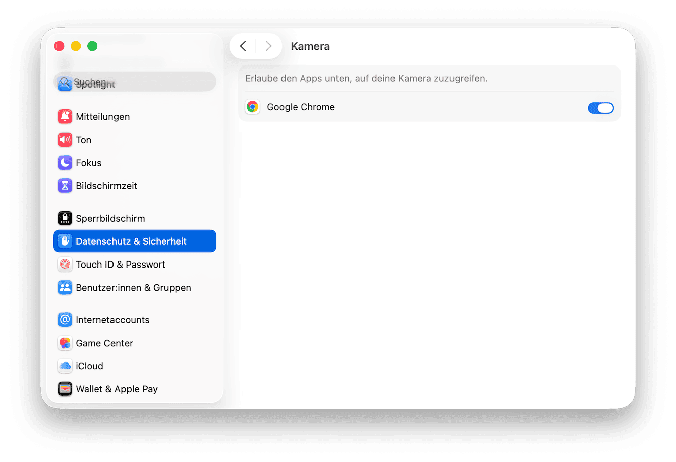 Festlegen, welche Programme Kamerazugriff erhalten
