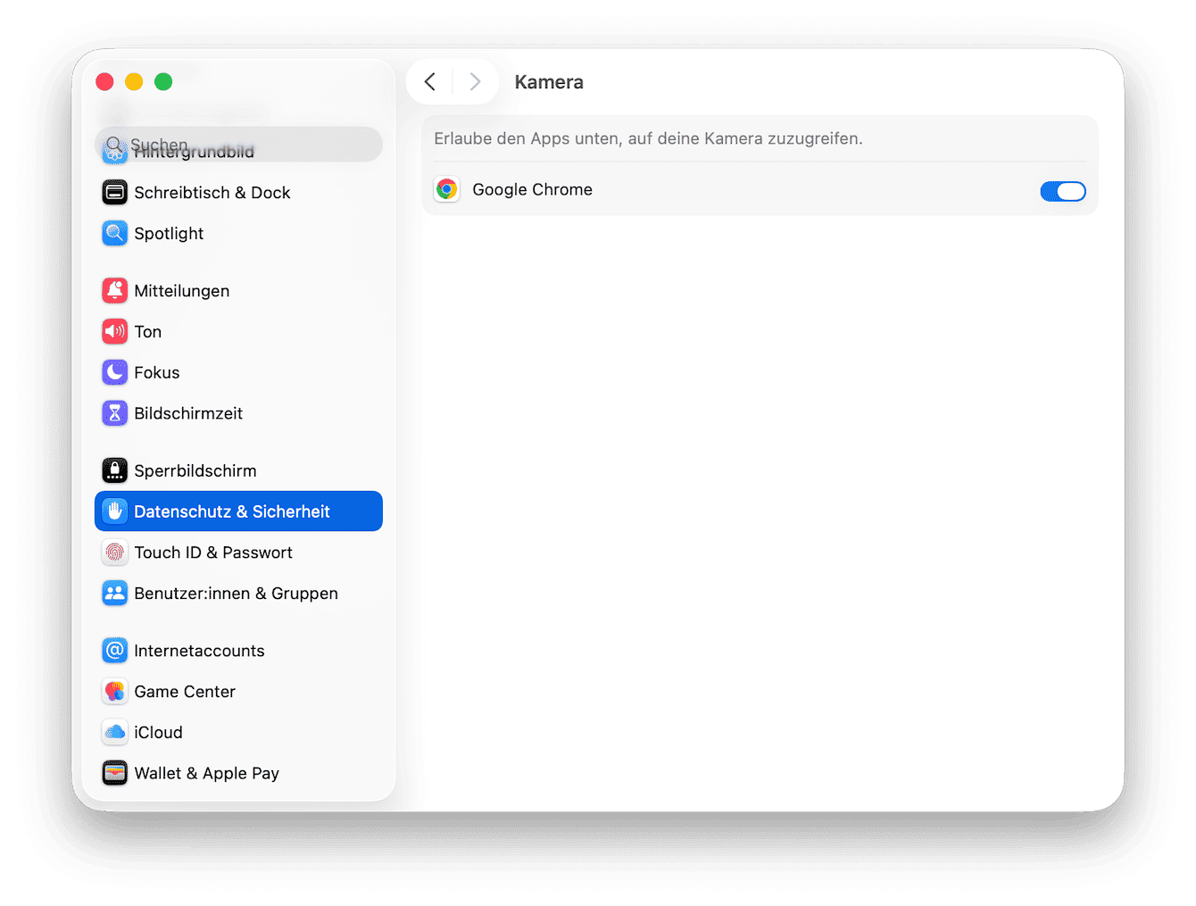 Kamerazugriff beschr&auml;nken
