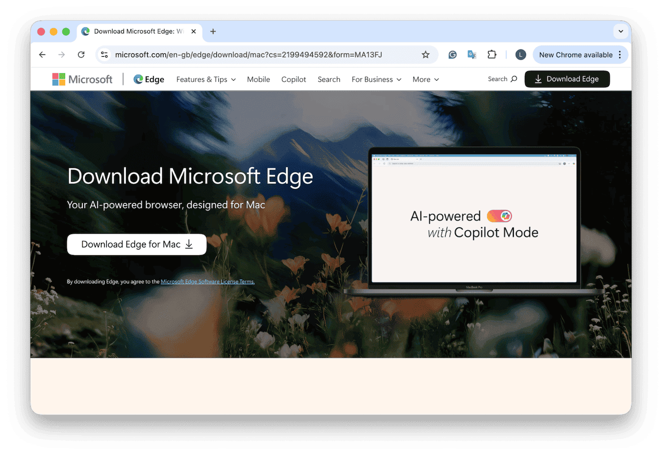 Microsoft Edge browser