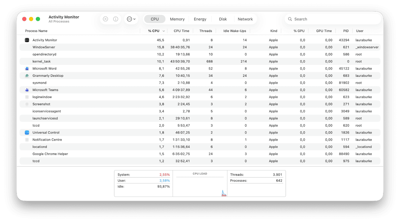 Activity Monitor on Mac