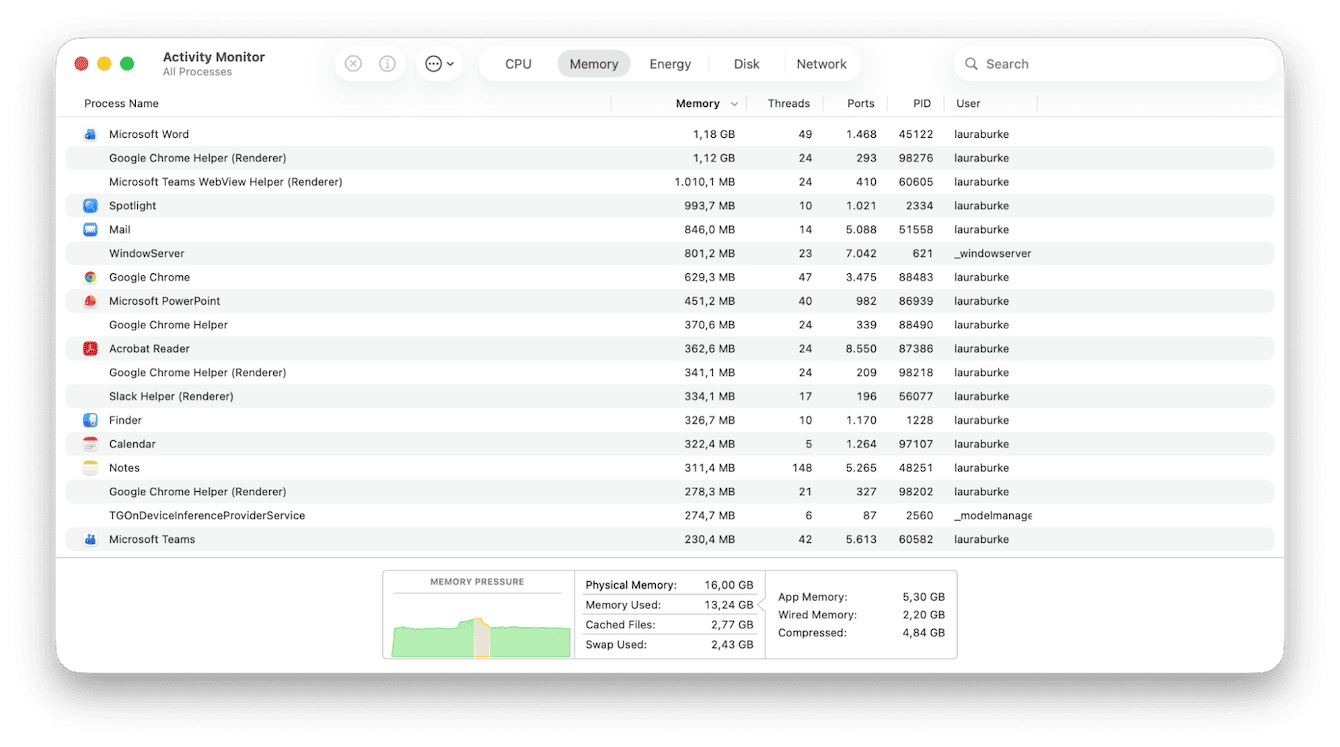 Activity Monitor on Mac