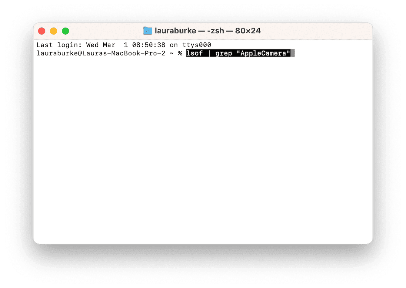 Terminal para consultar el historial de la webcam