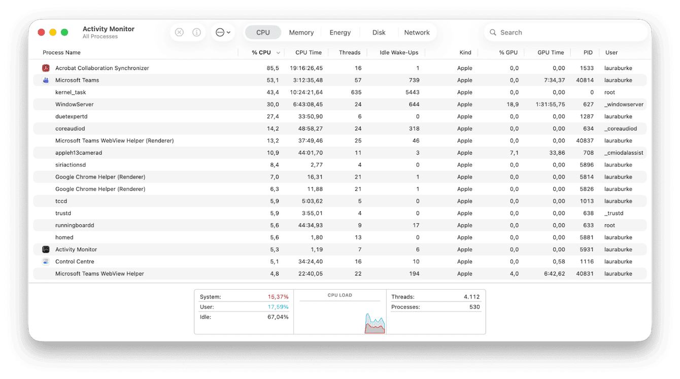 Activity Monitor on Mac
