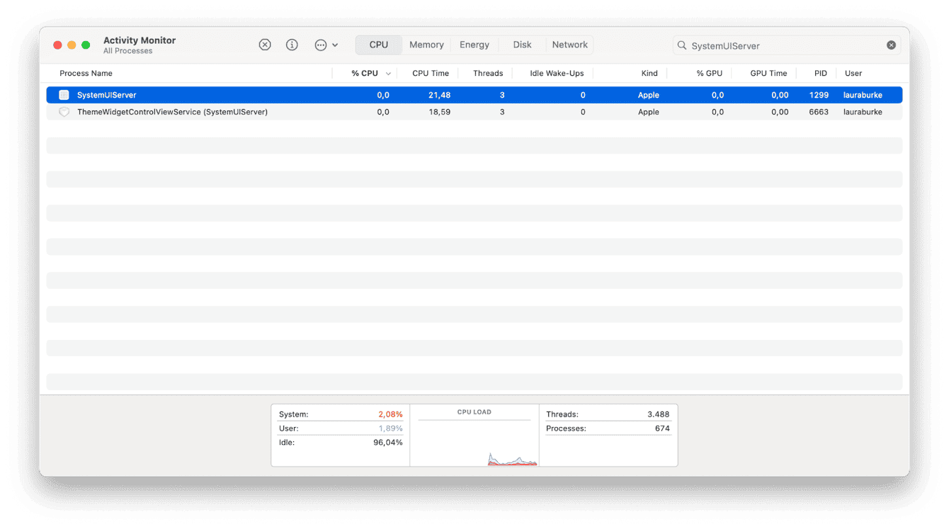 Activity Monitor on Mac
