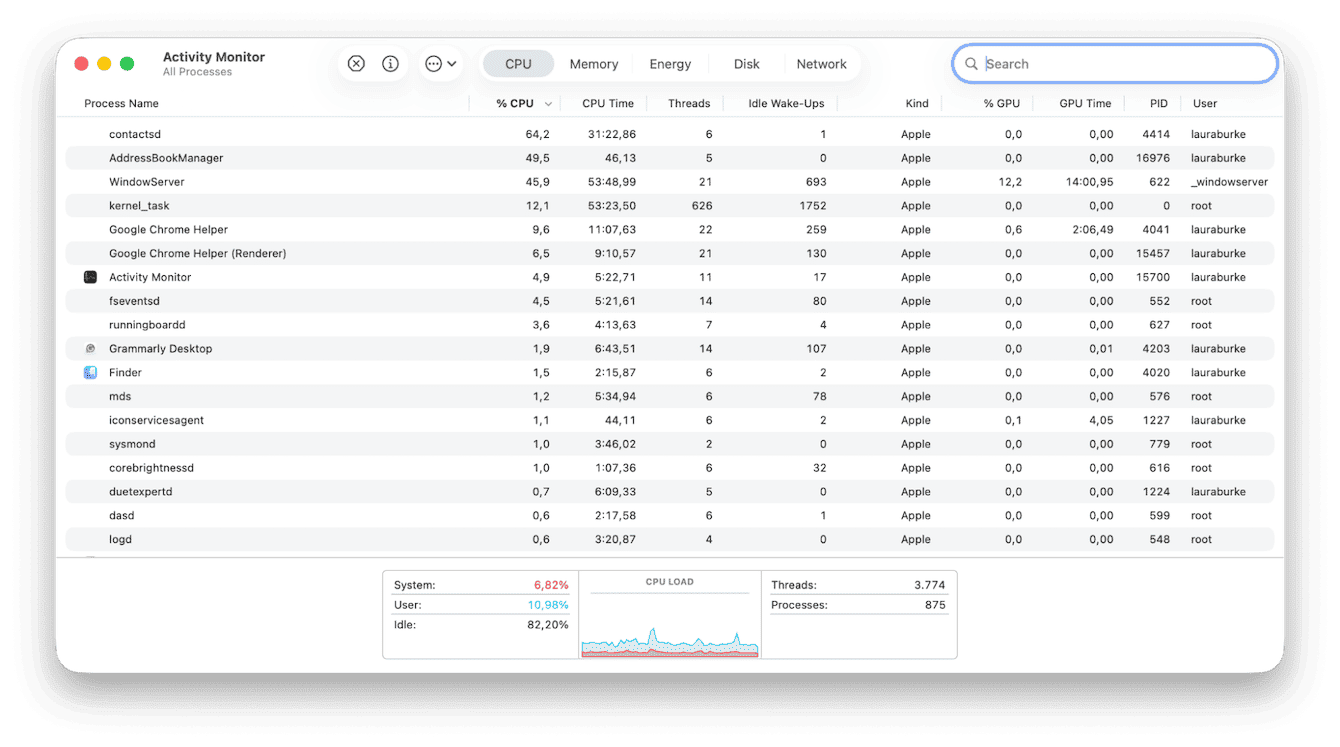Activity Monitor on Mac