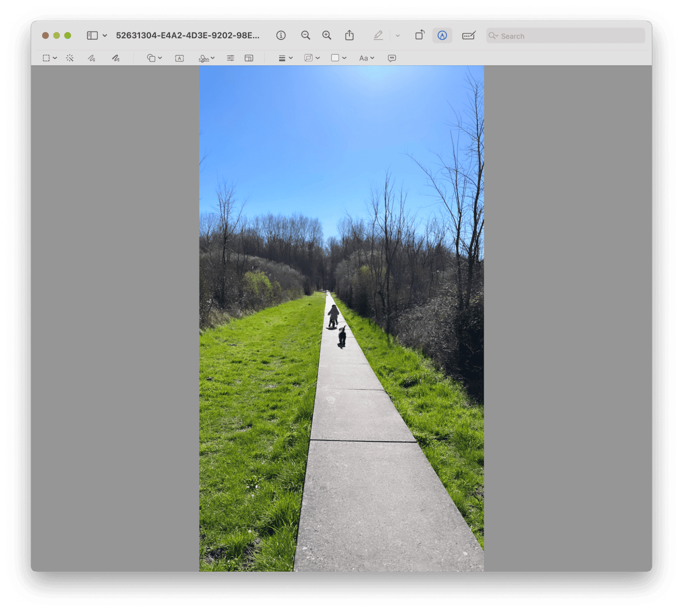 Preview native free photo editing app for Mac