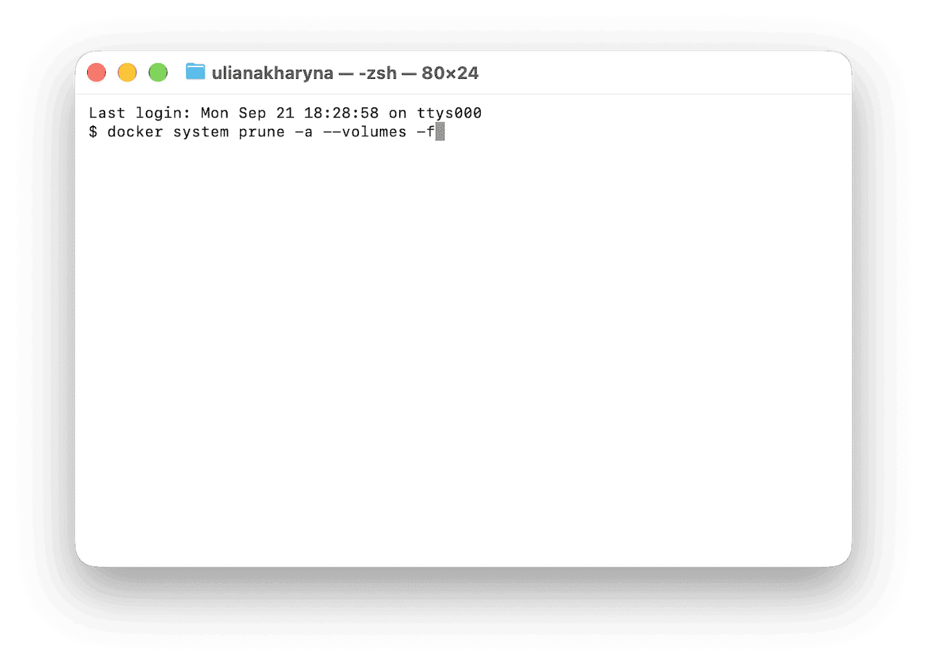 Terminal running docker system prune force command without confirmation