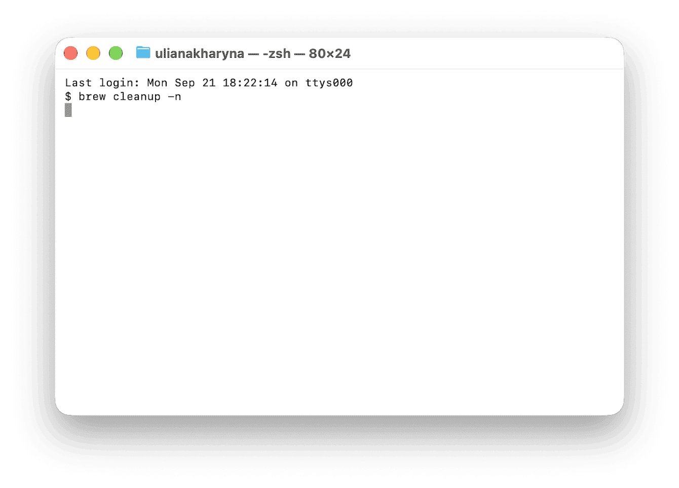 Terminal running brew cleanup dry run to preview removable files